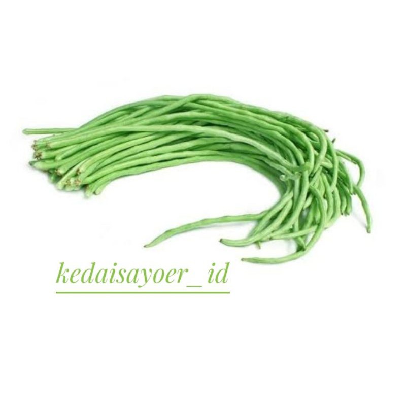 

Kacang Panjang
