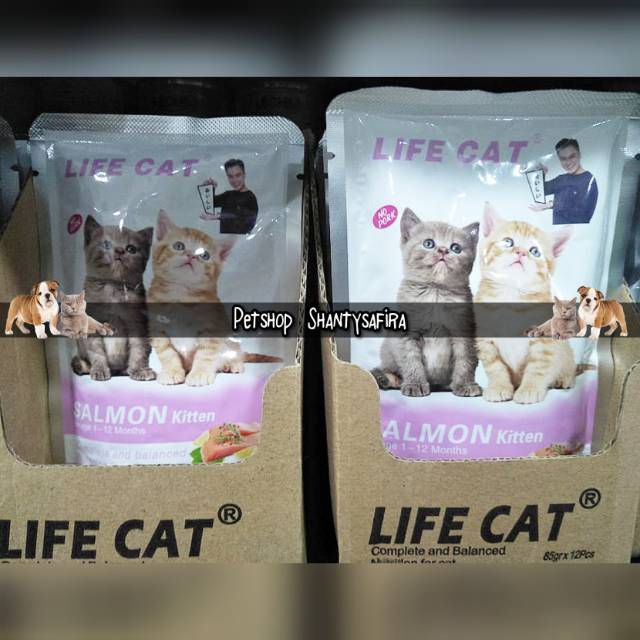 MAKANAN KUCING LIFE CAT KITTEN POUCH 85 GR LIFECAT KITTEN DUS ( ISI 24 PCS )