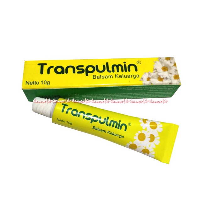 Transpulmin Kids 10gr Salep Balsem Untuk Menghangatkan Badan Dan Melegakan Pernafasan Anak Keluarga Transpulmins Trans Pulmin Kid