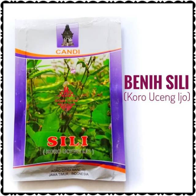 GriyaSinta : Benih Bibit Koro Uceng Ijo Sili