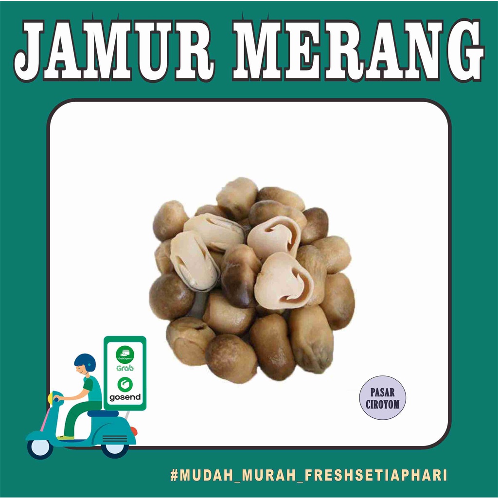 

JAMUR MERANG FRESH MURAH BANDUNG / SAYUR ONLINE