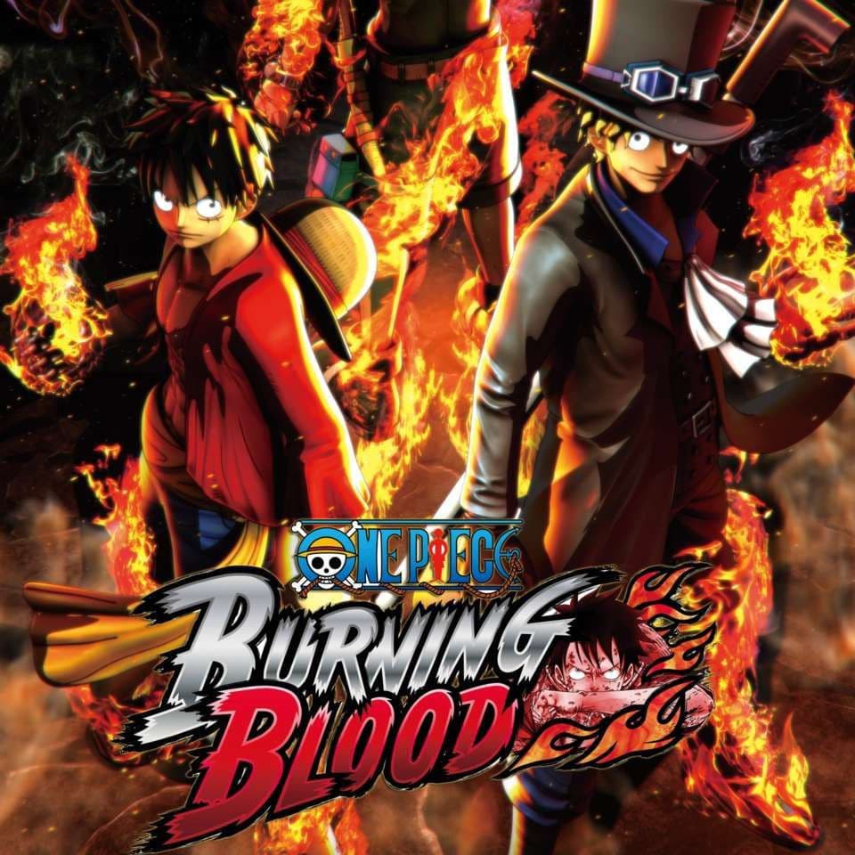 One Piece Burning Blood ( CD DVD Game PC Semarang ) Toko Games PC Laptop