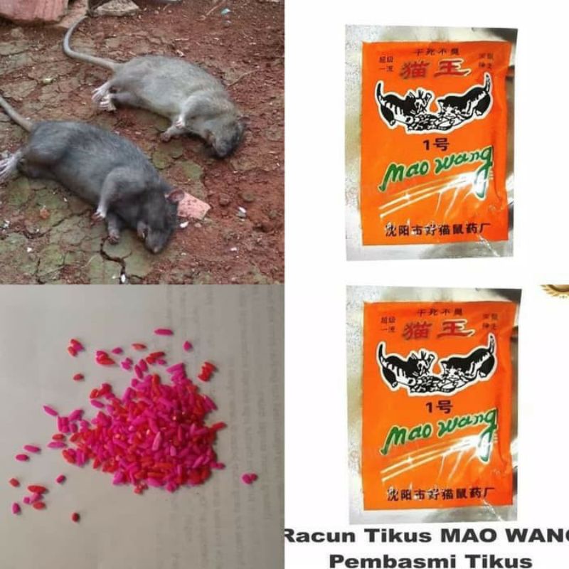 RACUN TIKUS  Original / Racun Tikus Mati Kering / Mao Wang