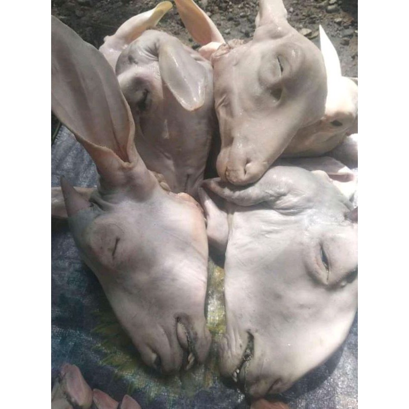 

kepala kaki kambing