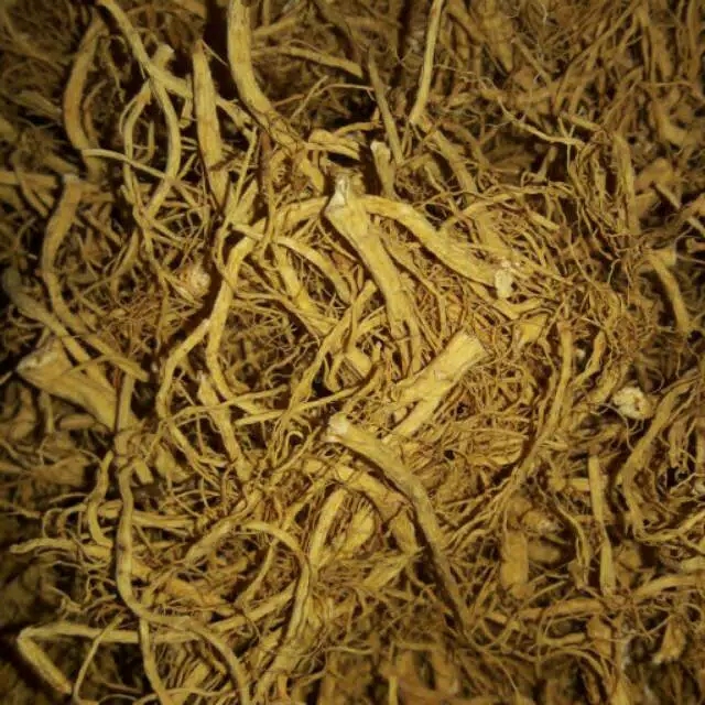 

promo Akar Ginseng / Yang Shen Xu / Yo Som Chiu (100 gram)