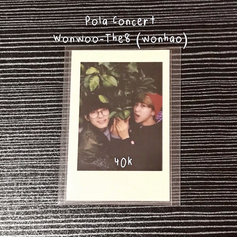 seventeen encore concert polaroid otp wonwoo the8 hao (wonhao)