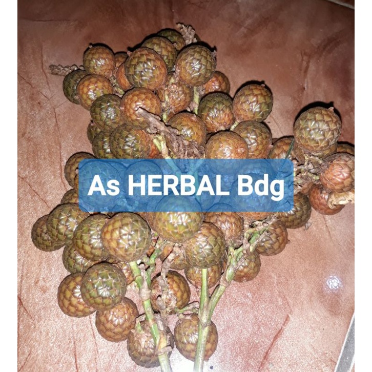 

Buah rotan / buah jernang jawa paket 500 gram-az