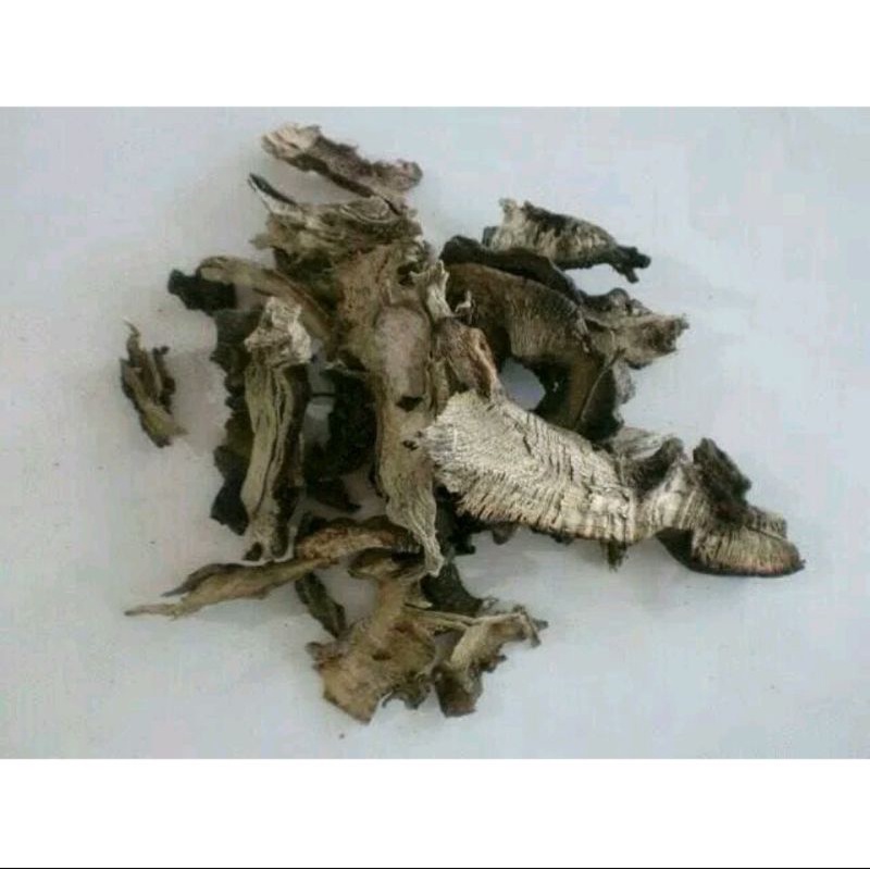 

300 G GR GRAM CHUAN NIU XI RADIX CYATHULAE MEDICINAL CYATHULA ROOT