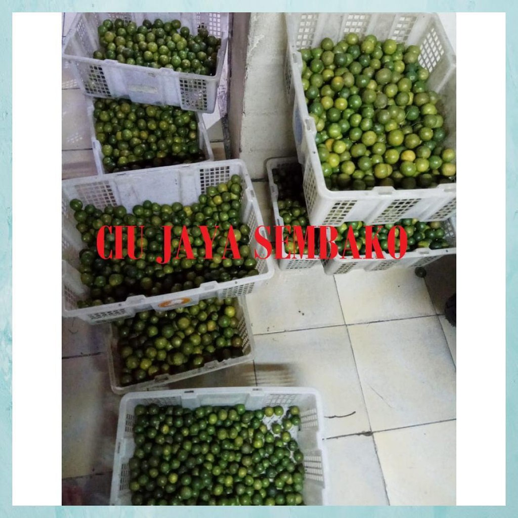 

JERUK SONKIT / JERUK KUNCI / LEMON CUI / SONKIT PONTIANAK