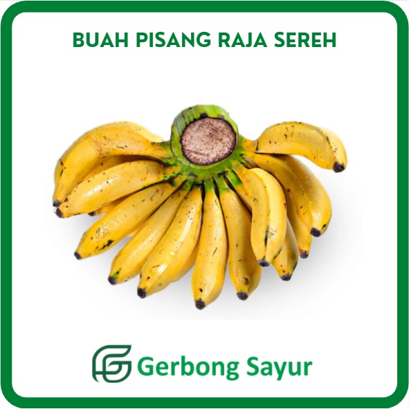 

Buah Pisang Raja Sereh 1 Sisir Segar