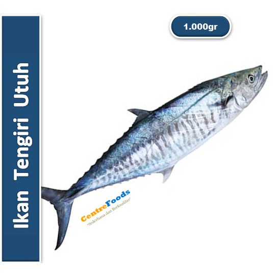 

Ikan Tengiri Fresh | Utuh [ Harga Per KG ]