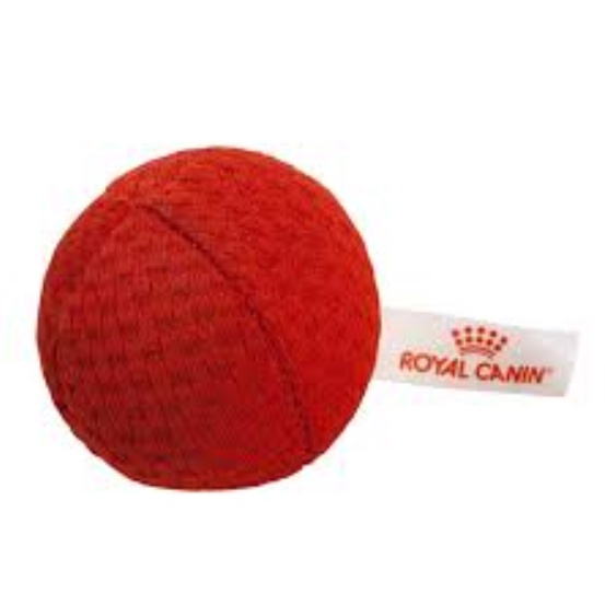Mainan Bola Kucing Catnip Ball toy Royal Canin