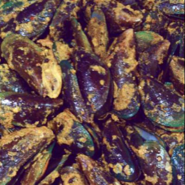 

Kerang balado endolita