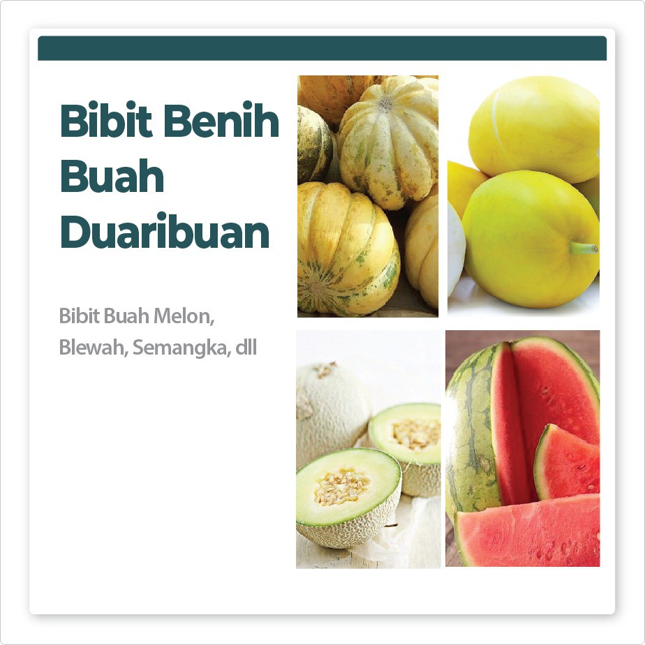 Bibit Benih Duaribuan Buah Melon Blewah Semangka dll PG KDR