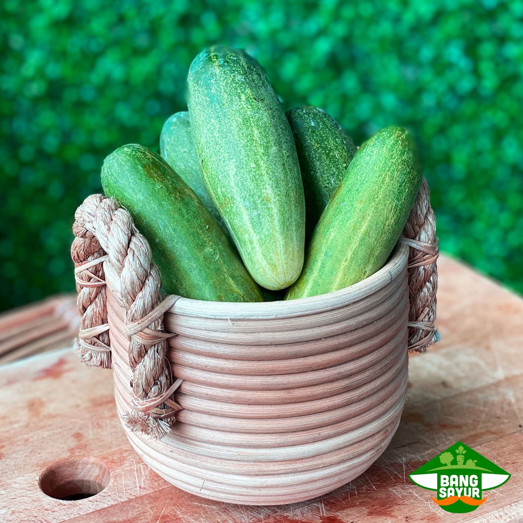 

Timun lalap / mentimun / timun biasa 1 kg
