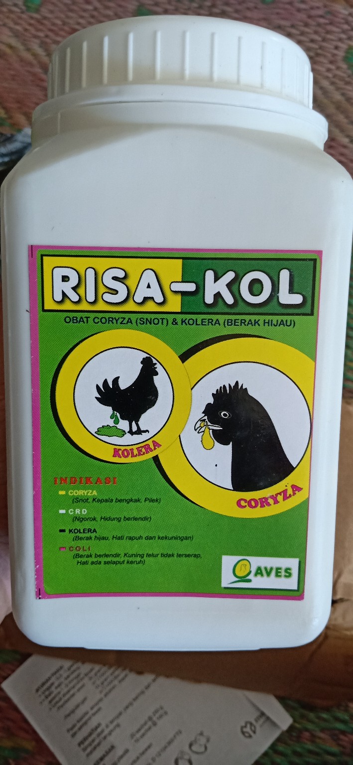 Risakol Risa-kol 1000 Kapsul Obat Untuk Pilek Snot Crd Berak Hijau Berak Putih