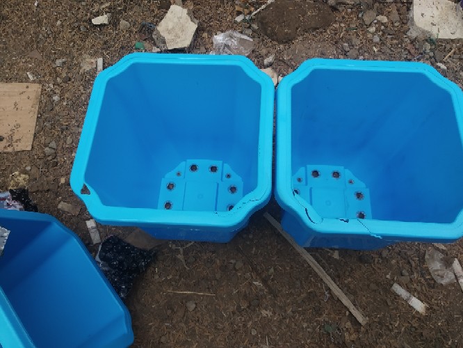 Pot Bunga Plastik Terra