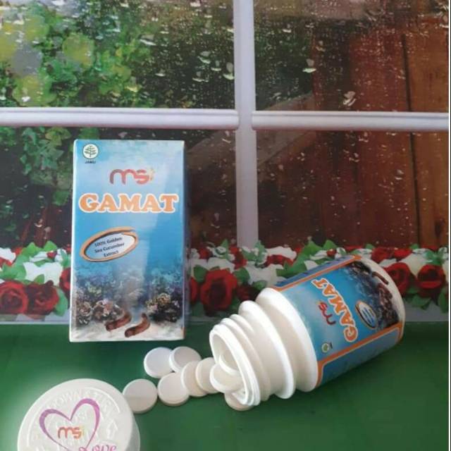Gamat MSI Ori