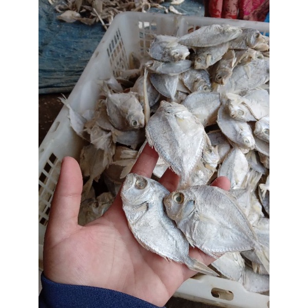 

Ikan Asin Petek Kecil 1kg