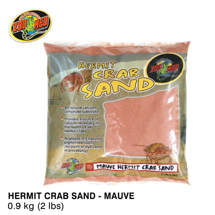Special Zoomed Hermit Crab Sand Merah pasir kelomang kumang umang