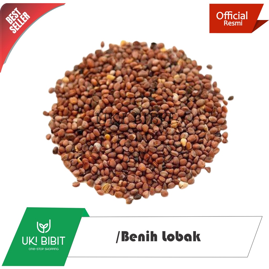 Jual 1 Kg Benih Lobak Shopee Indonesia