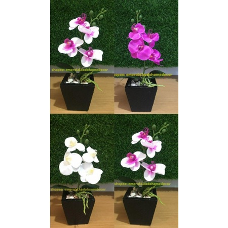 Anggrek Artificial | Bunga Anggrek Hias | Anggrek bulan | Bunga Anggrek Dekorasi Rumah | Anggrek Pla