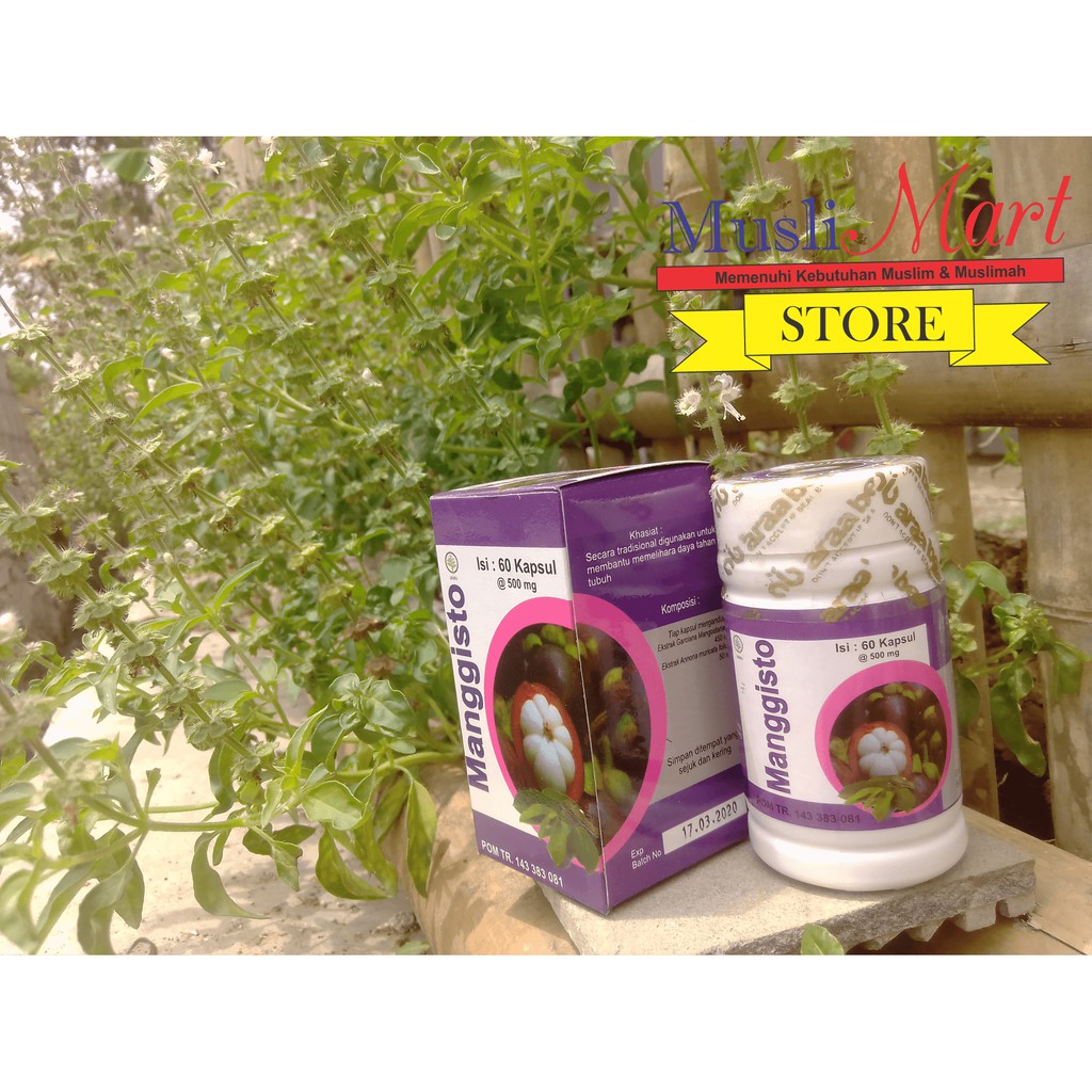 MENGOBATI HIPERTENSI Kapsul Manggisto Ekstrak Kulit Manggis Isi 60 Kapsul
