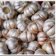 

Bawang putih bersih 250 gr