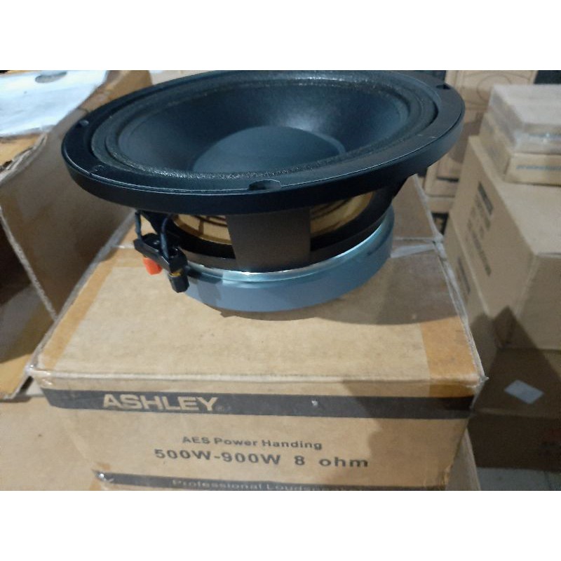 Speaker Ashley 10MD26 10inch