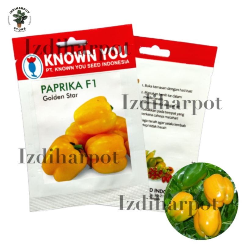 Benih bibit PAPRIKA F1 KUNING GOLDEN STAR known you seed - KYS GOLDEN STAR