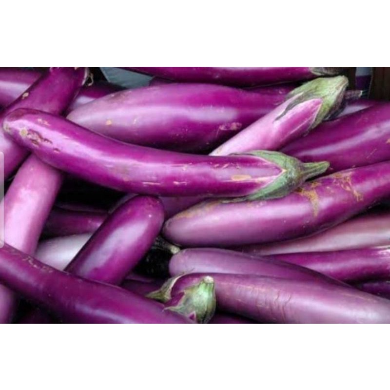 

Terong 500gr