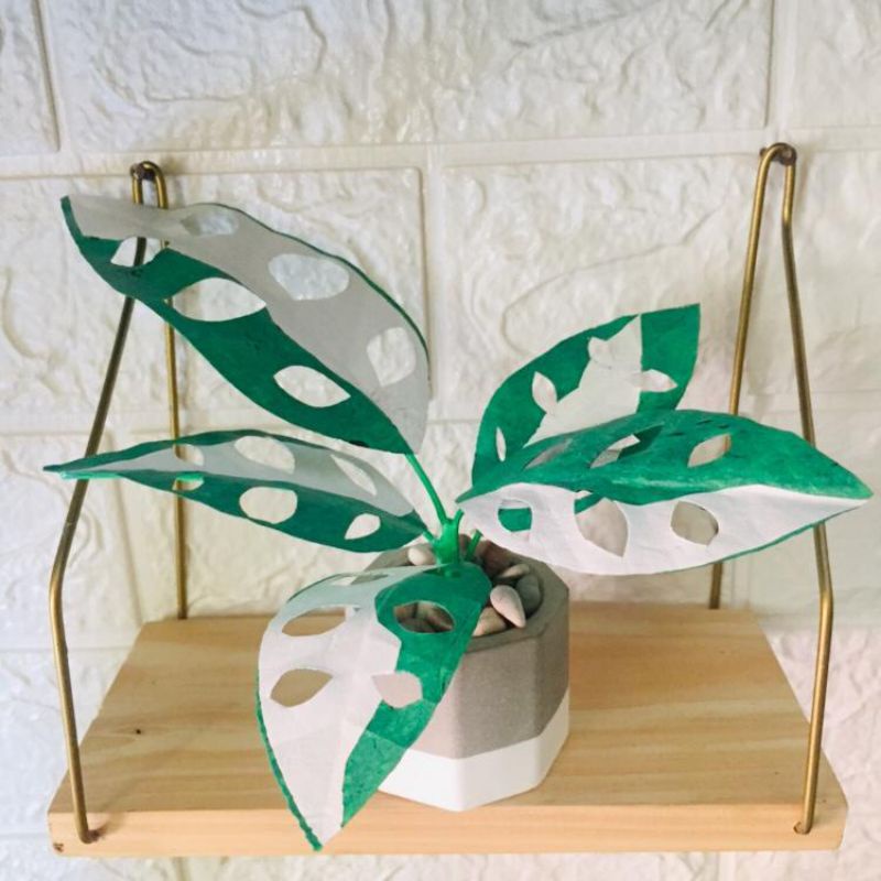 PROMO Janda Bolong Plastik | Bunga Hias | Bunga Plastik | Bunga Dekorasi