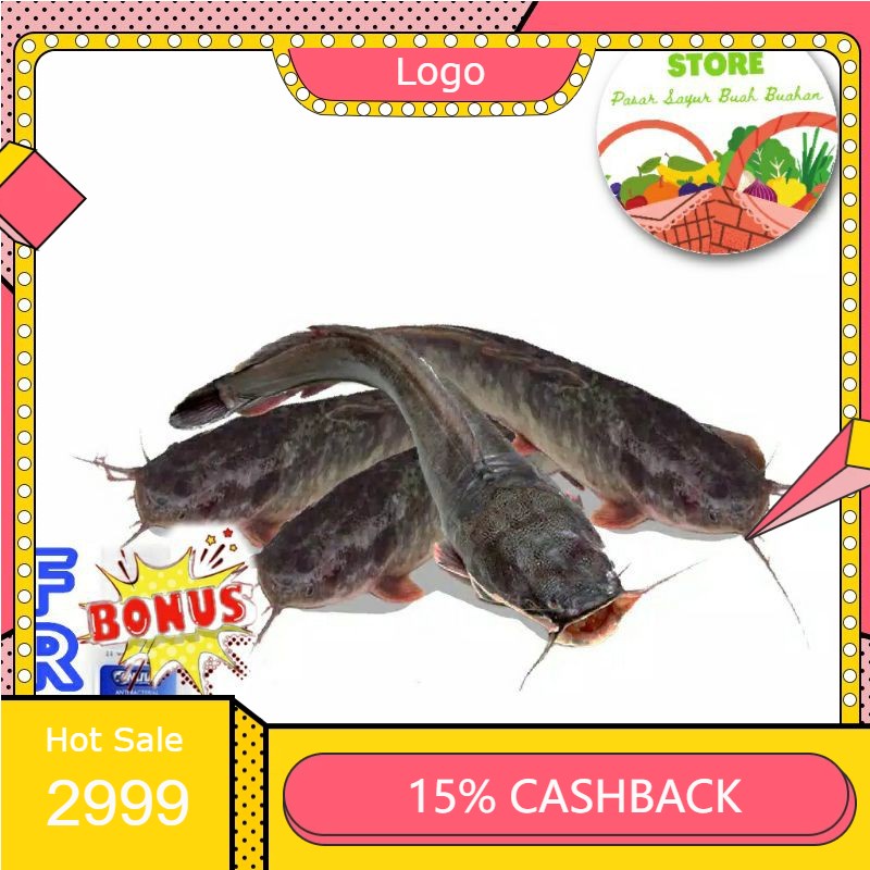 

RENGKEK SURABAYA - Ikan Lele Segar