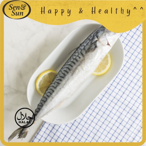 

Sen&Sun Seafood Ikan Mackerel 475 gr