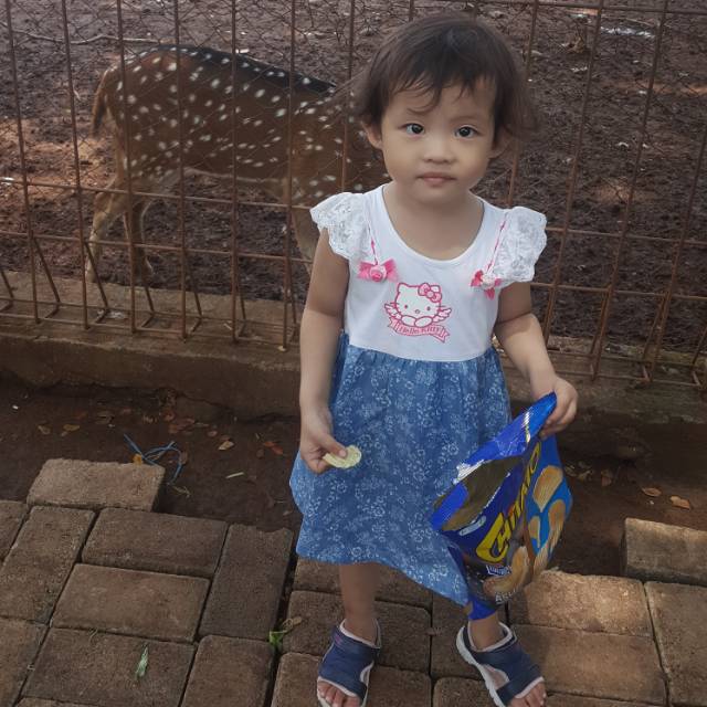 hamzah0171