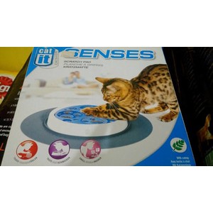 Cat it senses art 50725