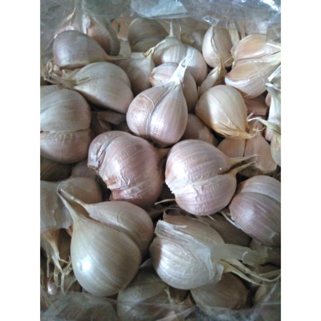 

Bawang putih kating 250gram