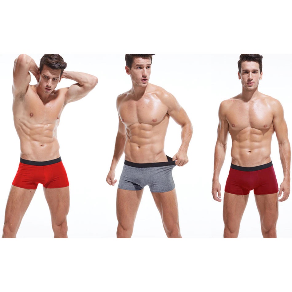 BaiLunLang Celana Dalam Boxer Brief Pria 4PCS - MU0031