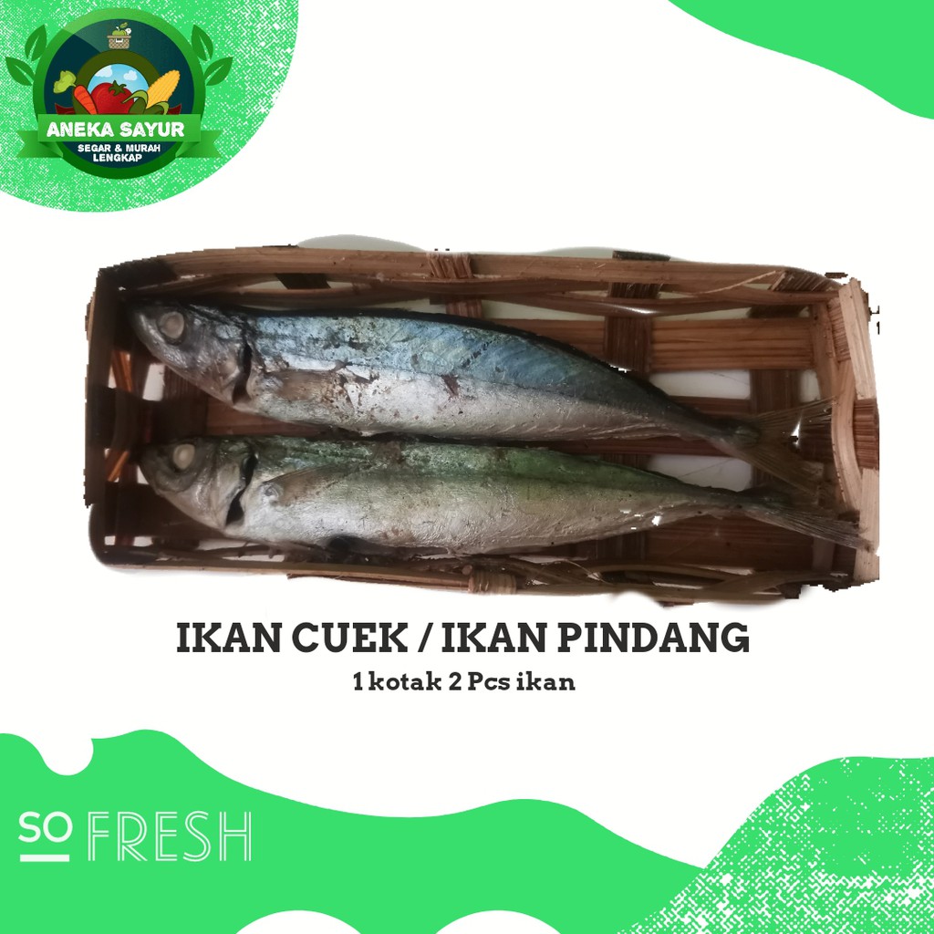 

Ikan Cuek/Ikan Pindang 1 keranjang isi 2