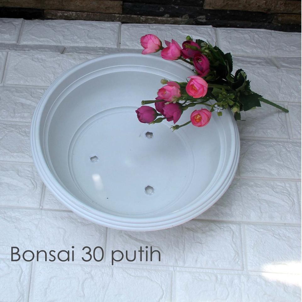 【CT】 POT BONSAI BULAT 30CM / BONSAI TAWON PUTIH | Pot Tanaman Bonsai 30 cm PLASTIK Pot Bonsai Ceper