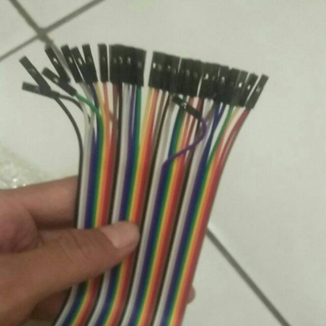 Kabel Jumper Dupont 20cm 10 Buah