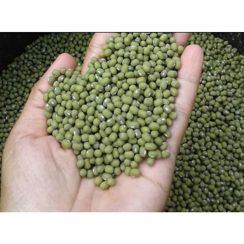 

Kacang Hijau 1kg