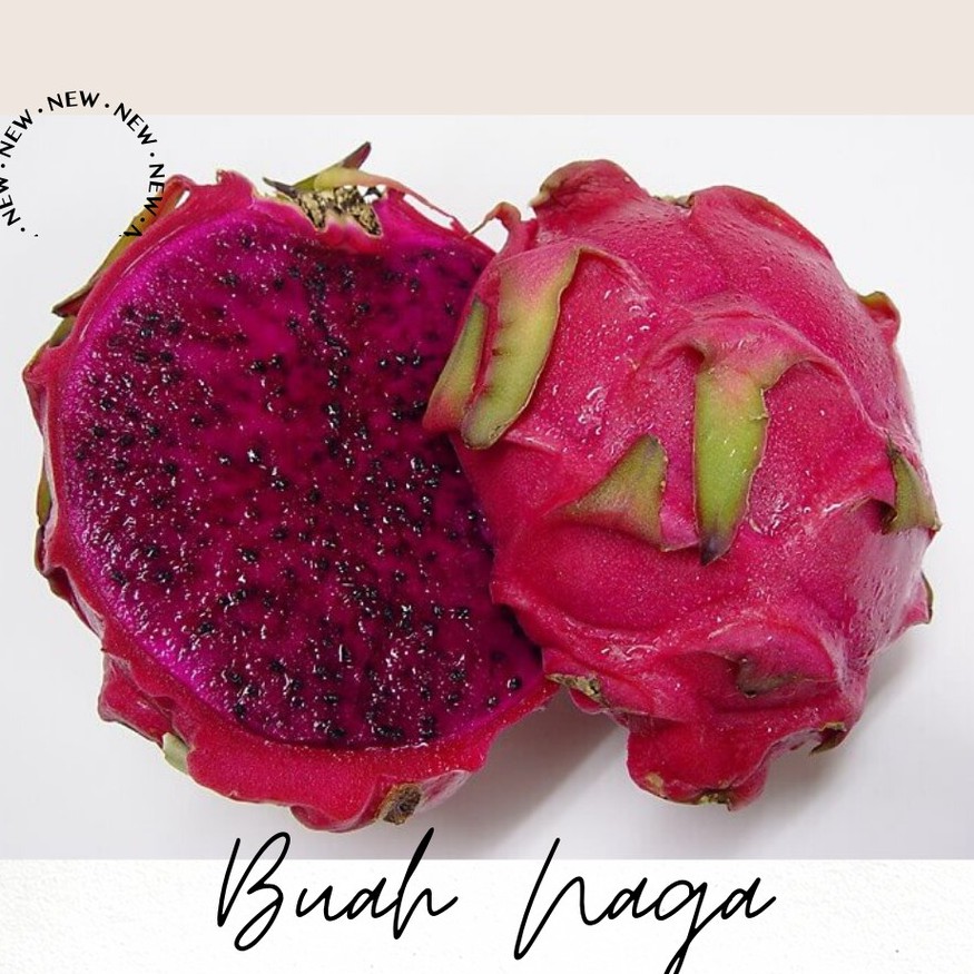 

Buah Naga 1pcs