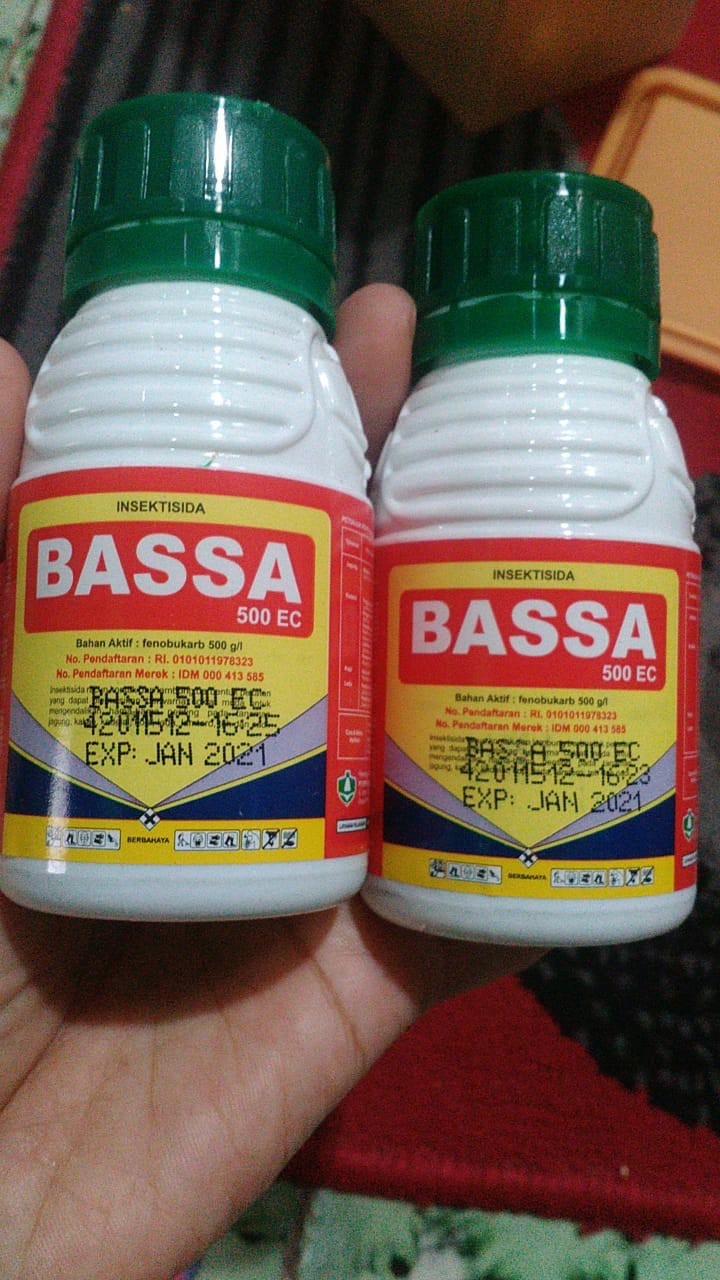 Insektisida Bassa 500 Ec Isi 100 Ml