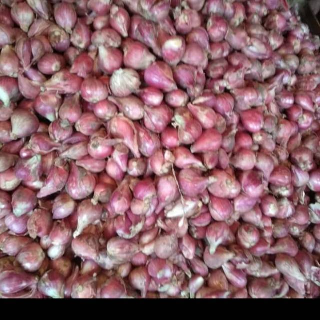 

Bawang merah