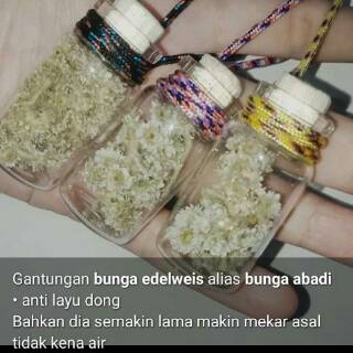 Souvenir Bunga Edelweis Bunga Edelweis Gantungan kunci Souvenir Bunga Edelweis Bunga Edelweis Gantungan kunci