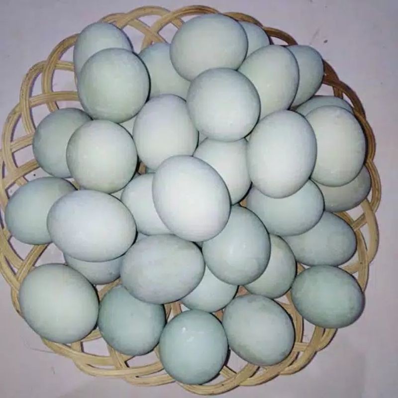 

Telur Asin Masir - Telur Bebek Asli ( Matang )