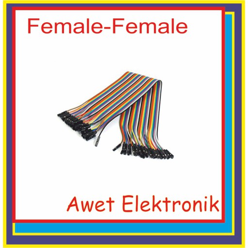 Kabel Jumper dupont 20cm 40  Buah Female - Female jumper Female to female