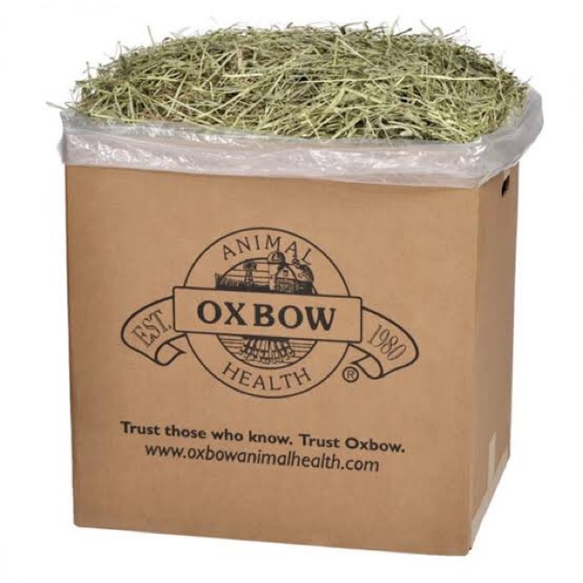 Oxbow Timothy Hay 1 Dus Isi 50 Lbs Rumput Kering Pakan Makanan Kelinci