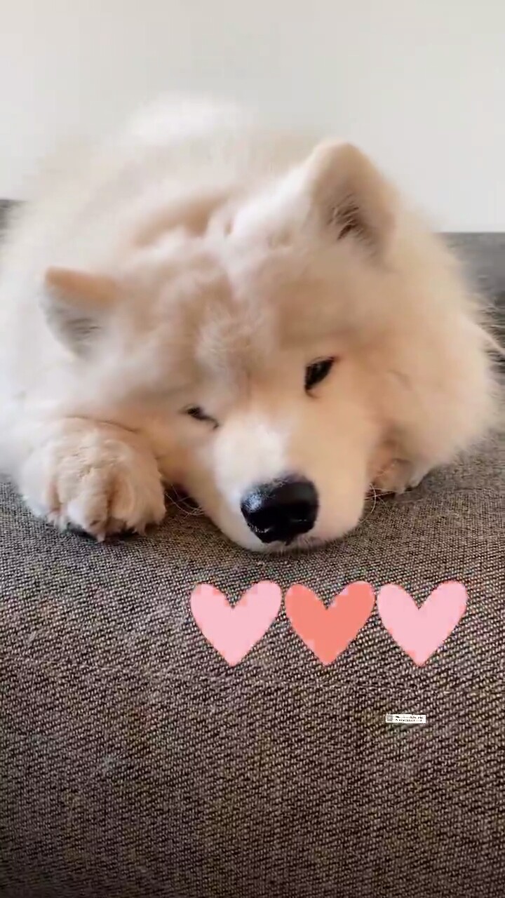 Burner Rinnai Super Tebal